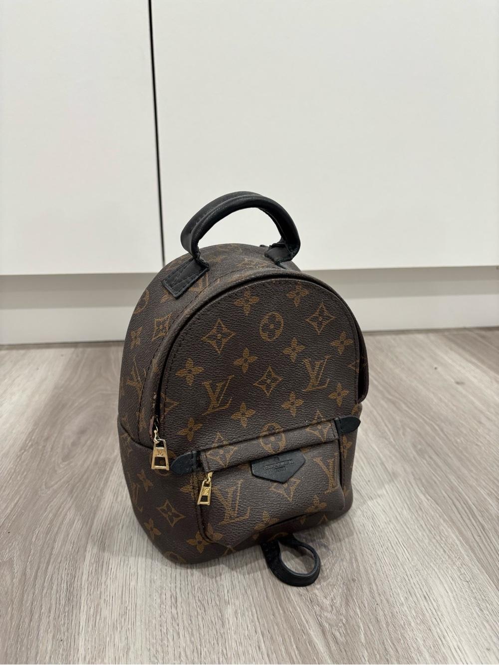 Louis Vuitton Monogram Mini Palm Springs Backpack